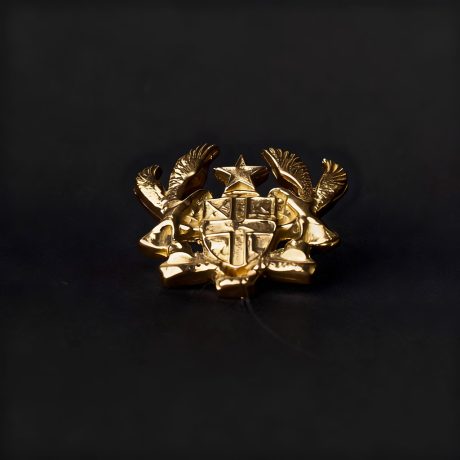 Coat Of Arms Lapel Pin